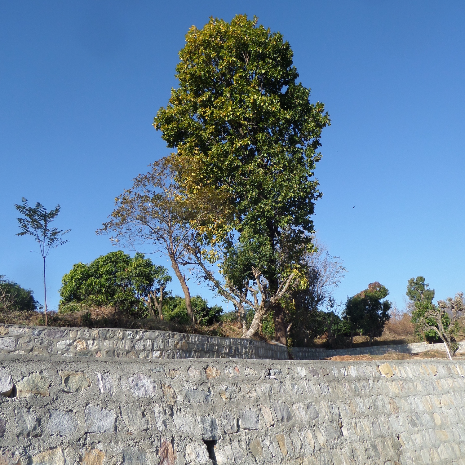 dehradun-stone-boundary-wall-house-project